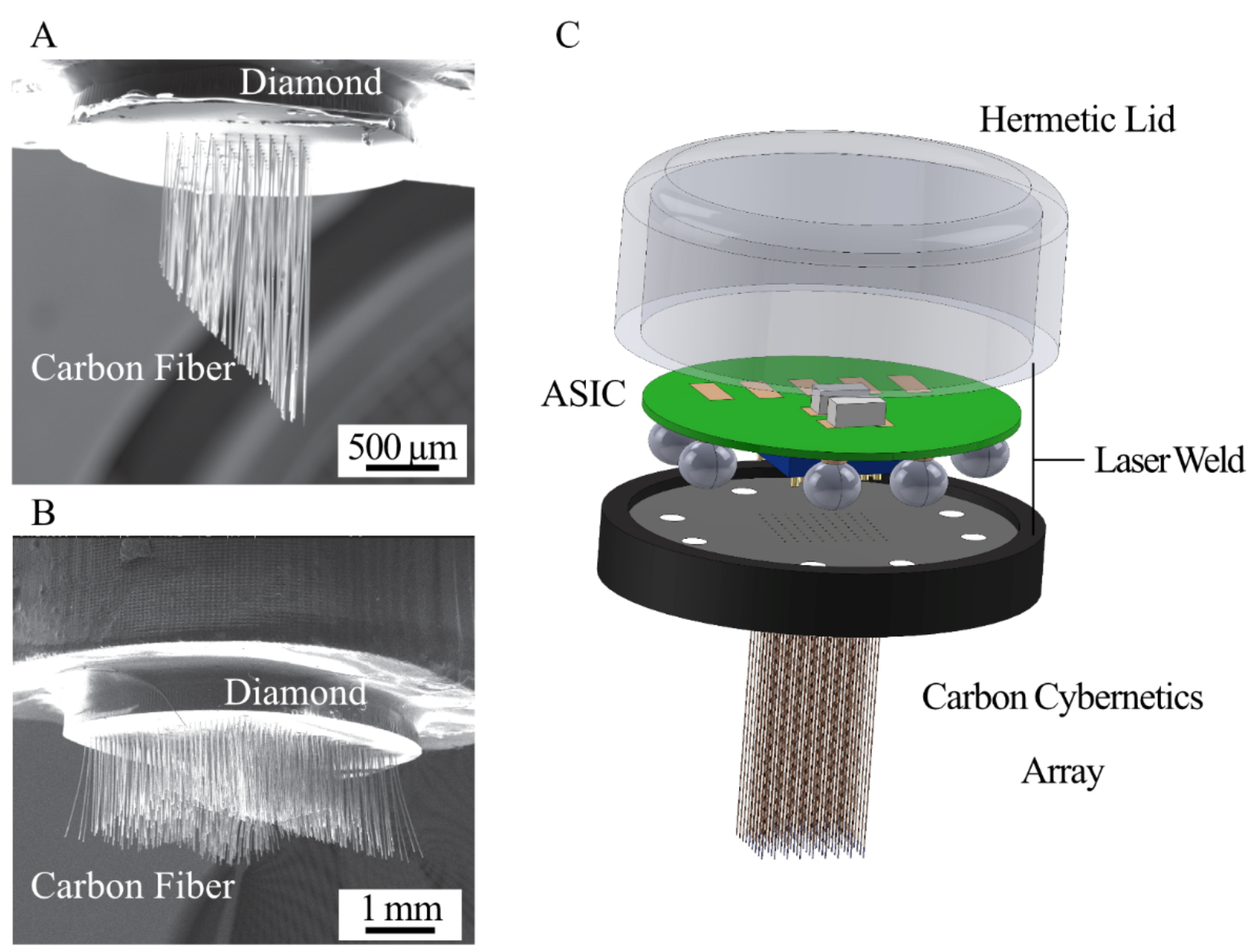 Carbon Cybernetics Array — SEM images of carbon fibres bonded to diamond substrate and 3D render of the hermetically sealed device.